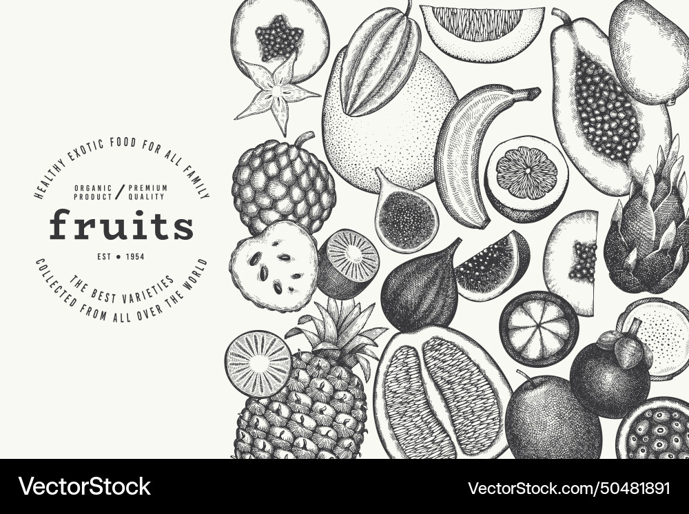 Tropical fruit design template hand drawn exotic Tropical fruit design template hand drawn exotic vector image