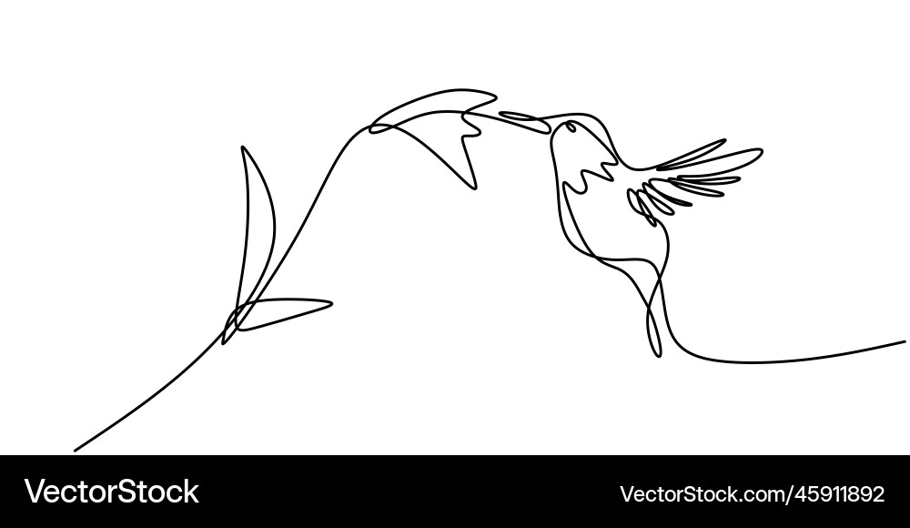 Continuous one line drawing of hummingbird Continuous one line drawing of hummingbird vector image