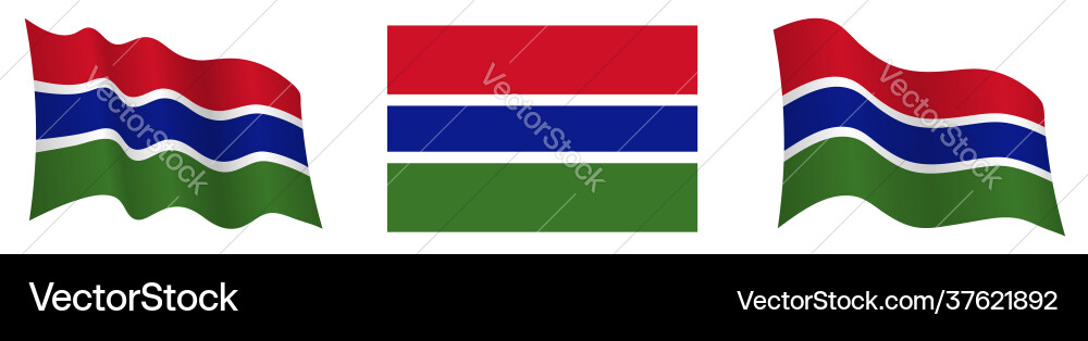 Flag gambia in static position and motion vector image