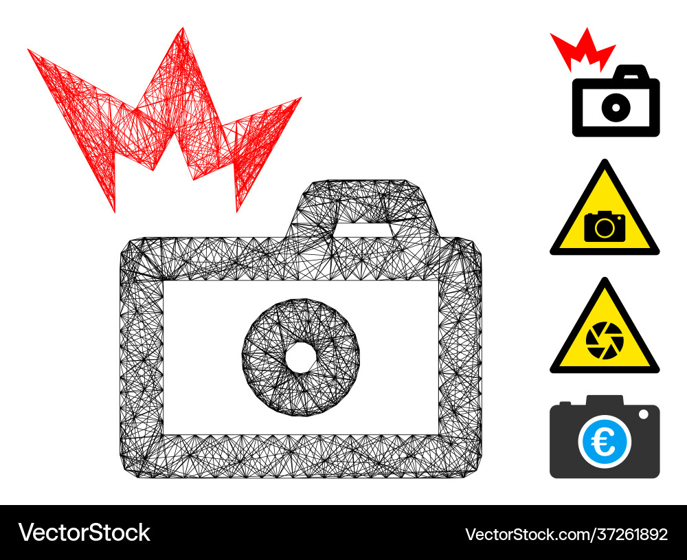 Linear camera flash mesh Linear camera flash mesh vector image