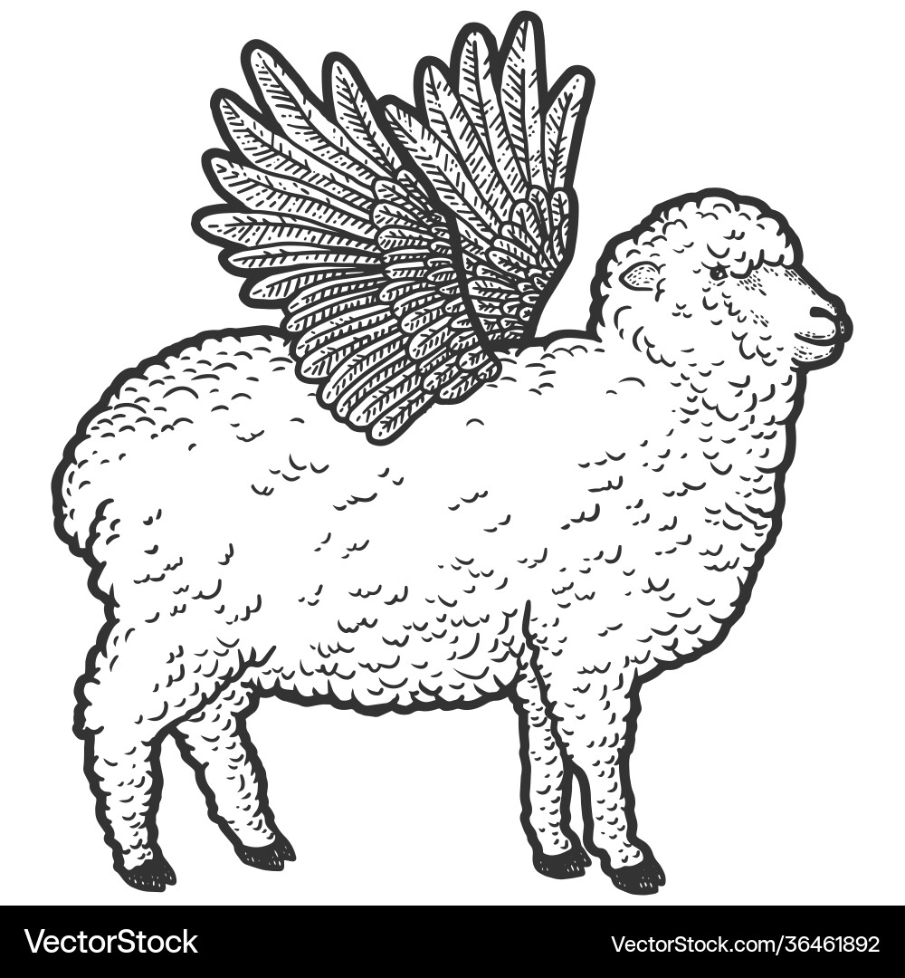 Sheep with bird wings sketch scratch board Sheep with bird wings sketch scratch board vector image