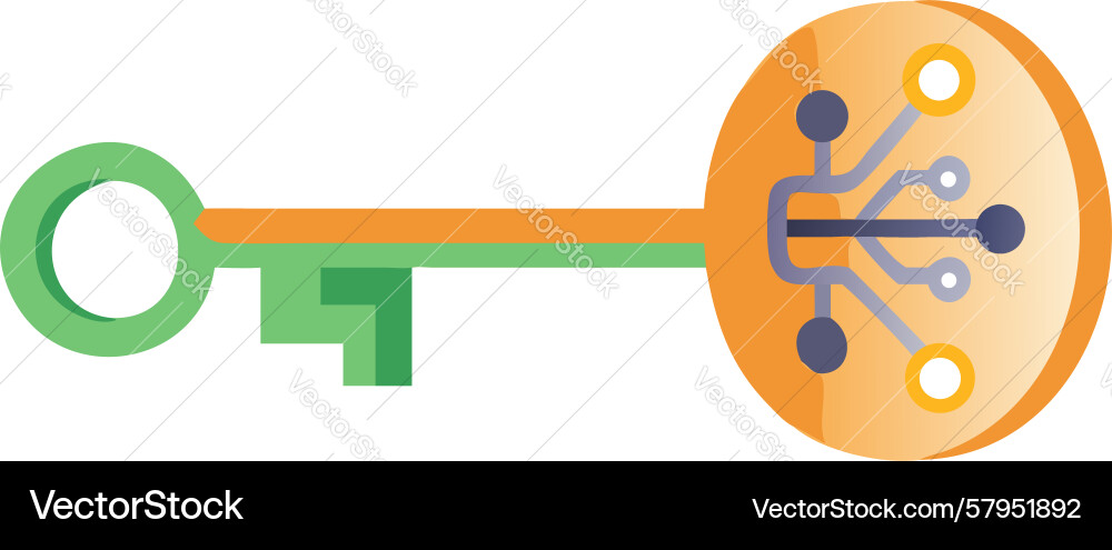 Tech Key with Circuit Pattern vector image