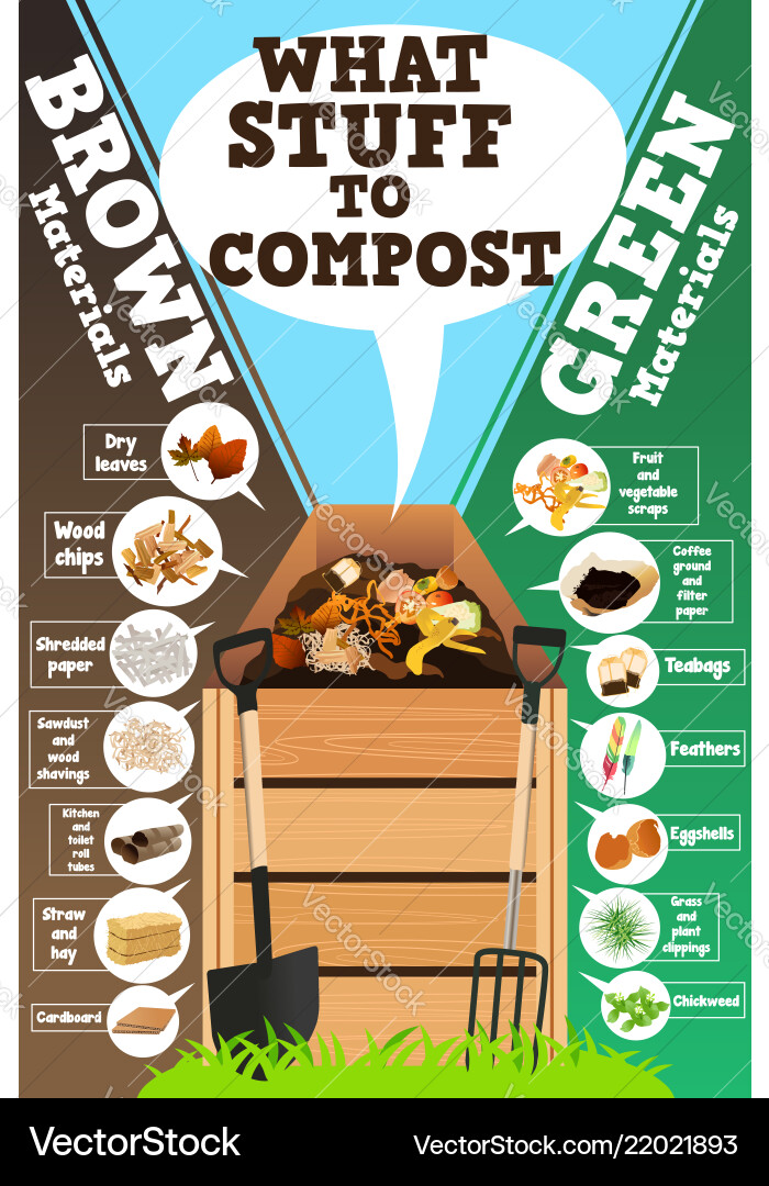 Composting Guide - What to Recycle Vector Image