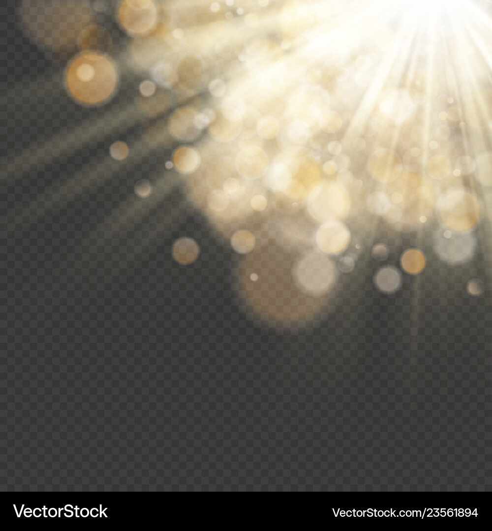 Light effect with glitter sequins shining rays Vector Image
