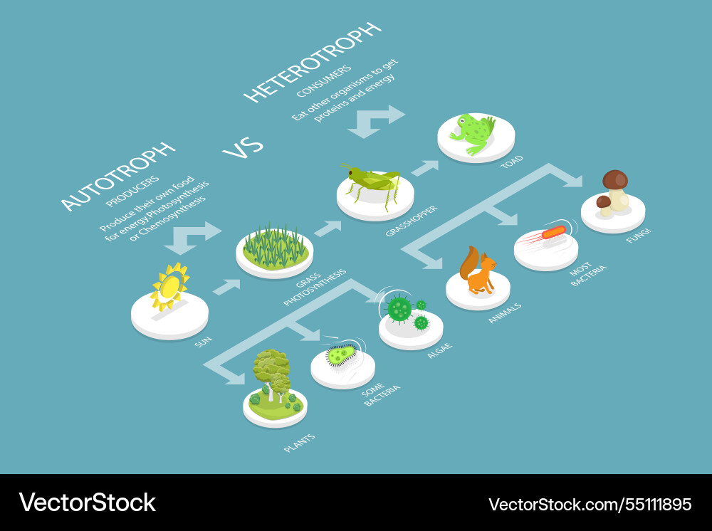 3d isometric flat Royalty Free Vector Image - VectorStock