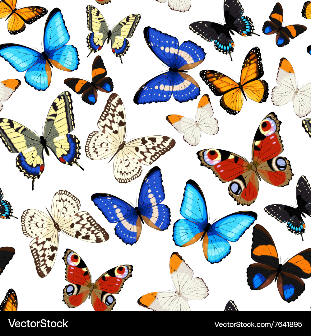 Colorful Butterfly Seamless Pattern Vector Image