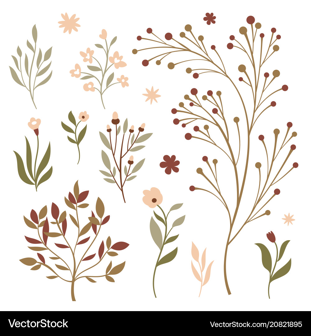 Blumen-Set Lizenzfreies Vektorbild - VectorStock