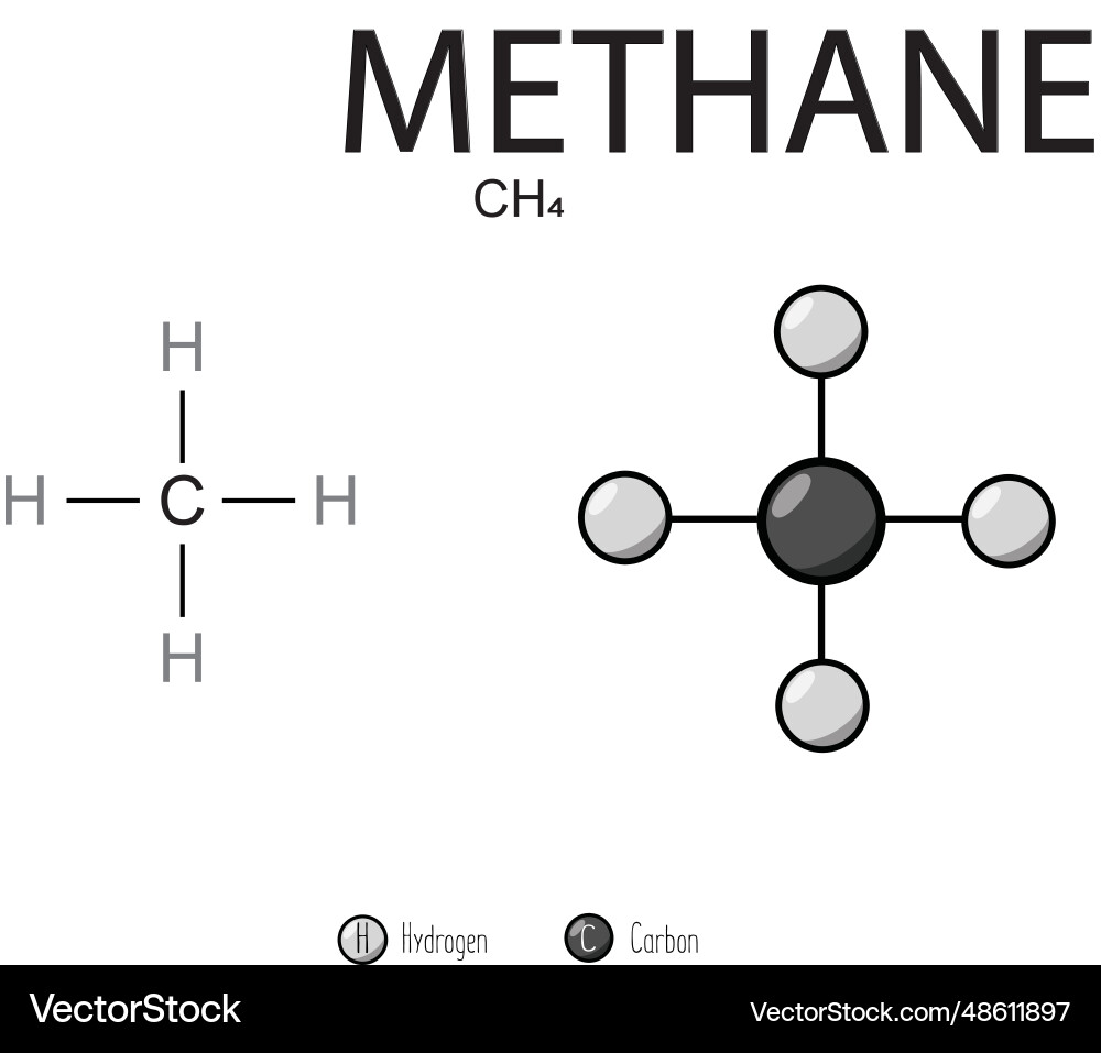 Methane skeletal structure and flat model vector image