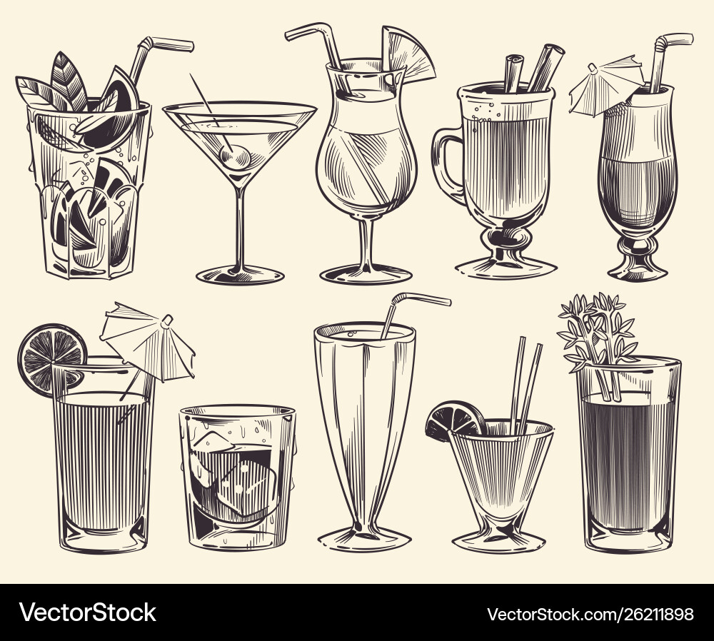 Hand drawn cocktails sketch and alcohol Hand drawn cocktails sketch and alcohol vector image