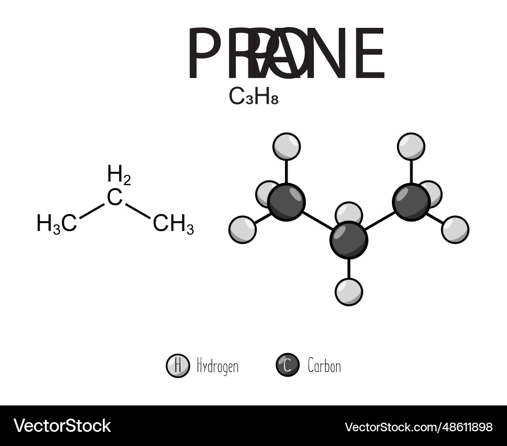Propane skeletal structure and flat model Vector Image