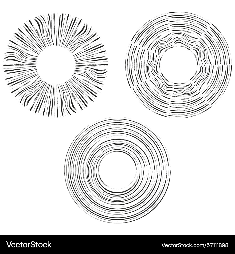 Round line elements circular swirl shape abstract Vector Image