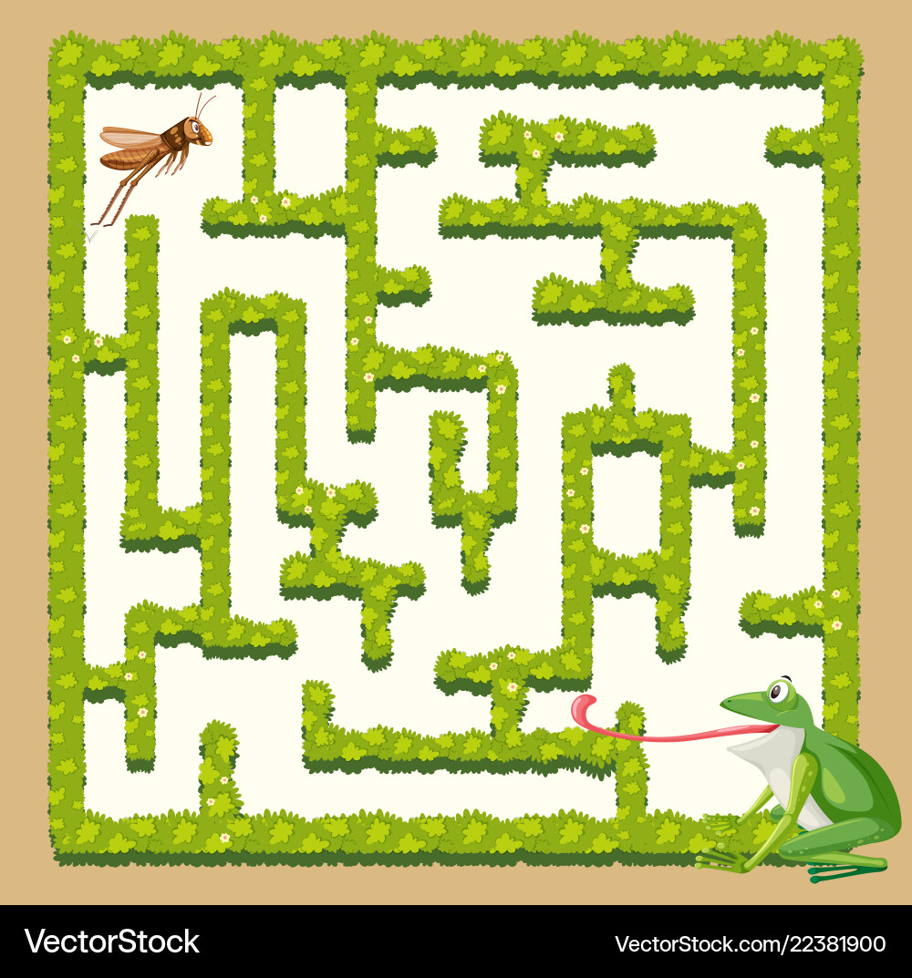 Frog and Grasshopper in a Maze vector image