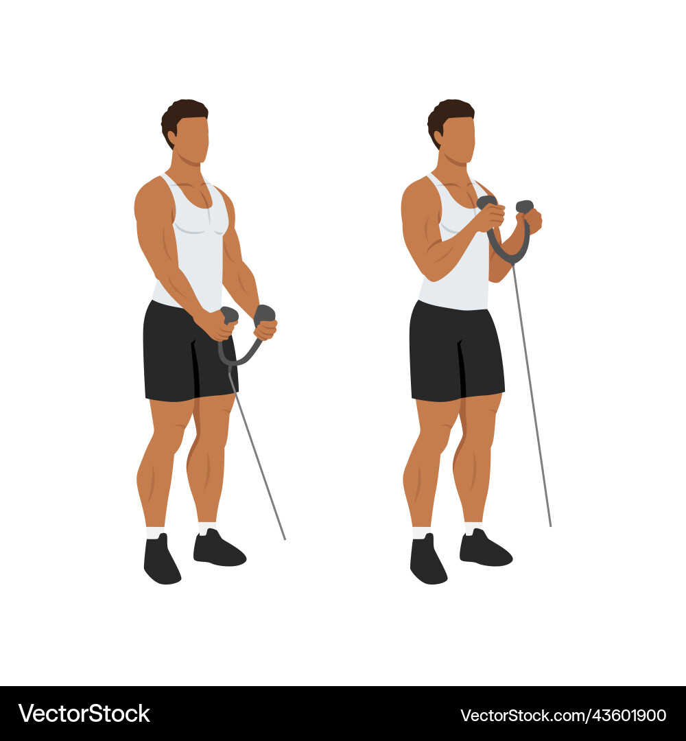 Man doing rope bicep hammer curl flat Man doing rope bicep hammer curl flat vector image