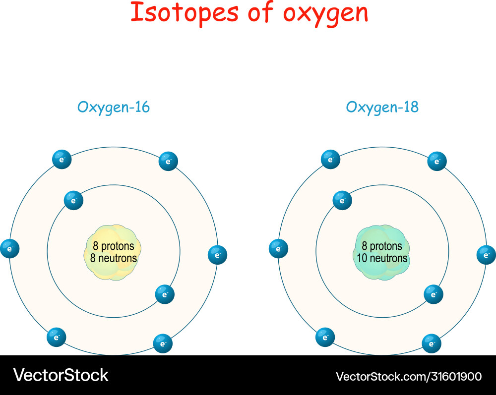 Oxygen Isotopes: Atomic Structure & Particle Count Vector Image