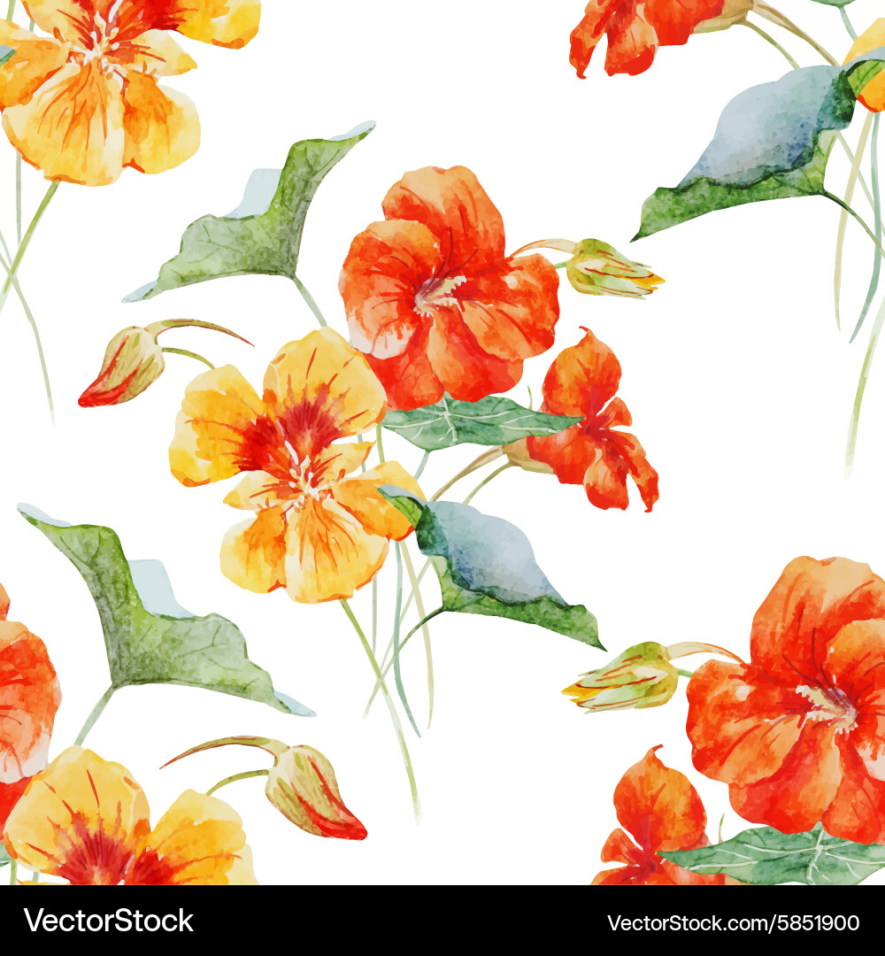 Watercolor Nasturtium Flower Pattern vector image