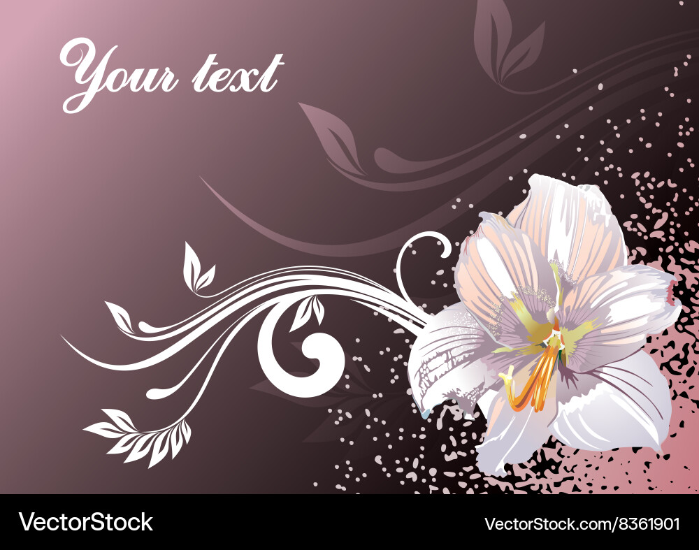 Lily design with text space Vector Image