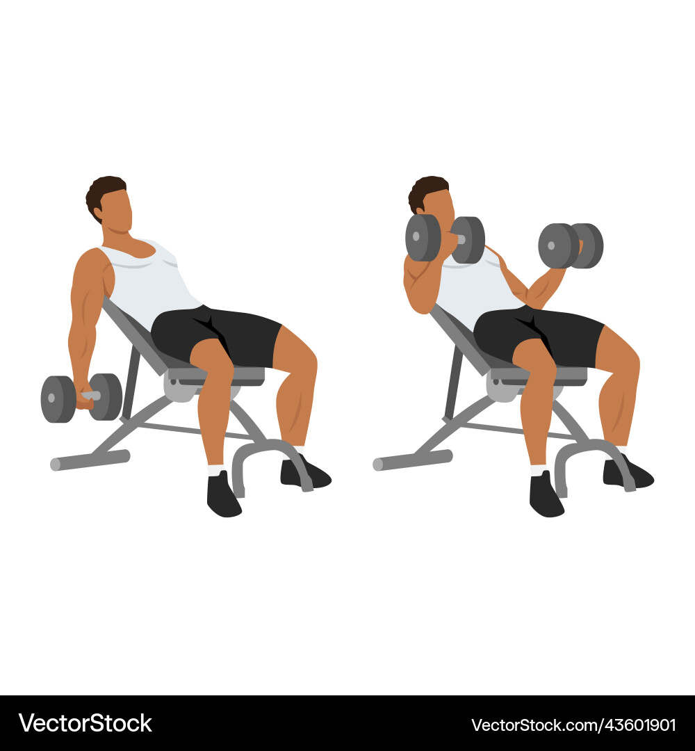 Man doing incline dumbbell curl flat Man doing incline dumbbell curl flat vector image