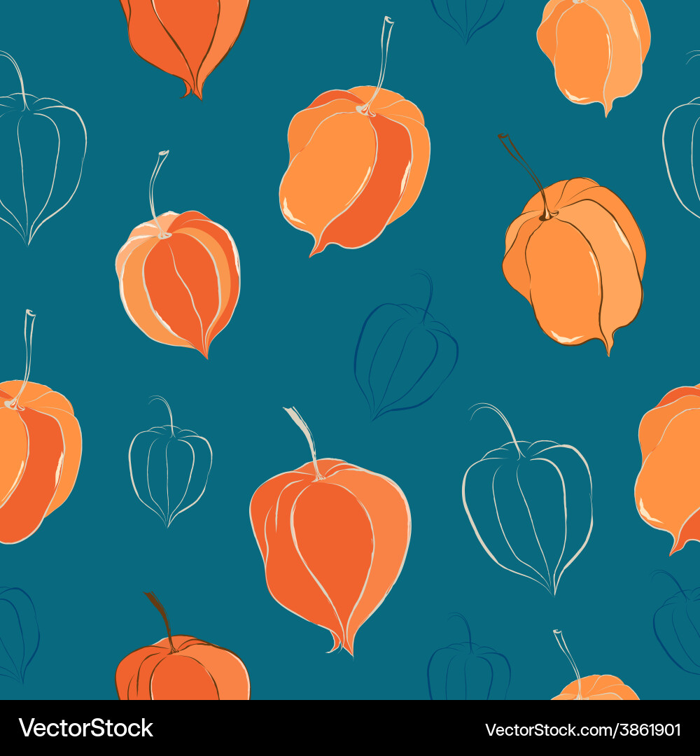 Seamless pattern with physalis vector image
