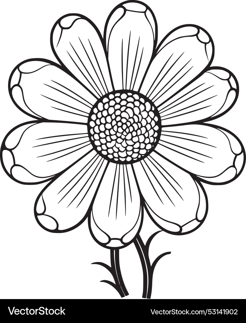 Flower Royalty Free Vector Image - VectorStock