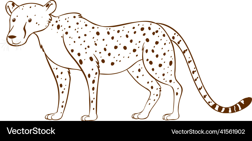 Leopard in doodle simple style on white background Vector Image