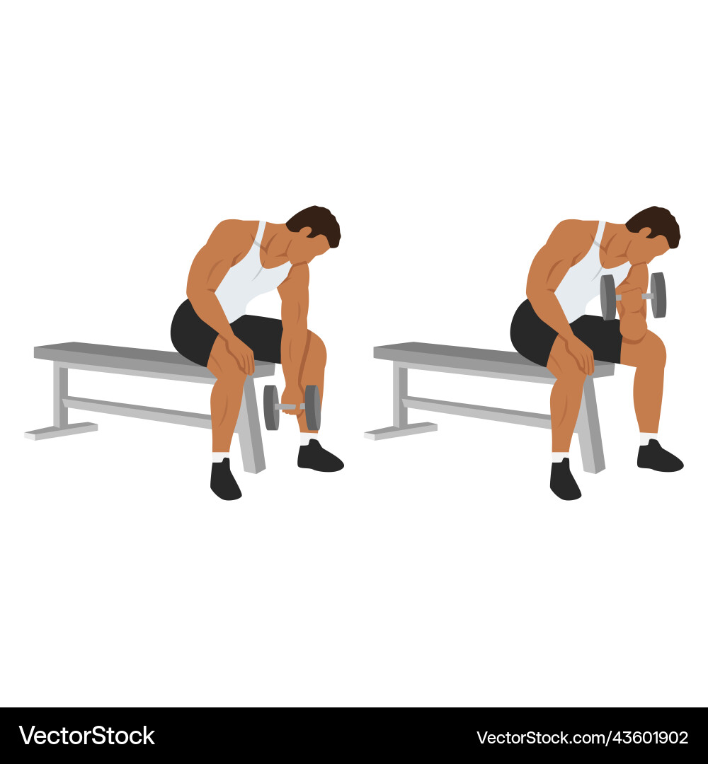 Man doing dumbbell concentration curl Man doing dumbbell concentration curl vector image