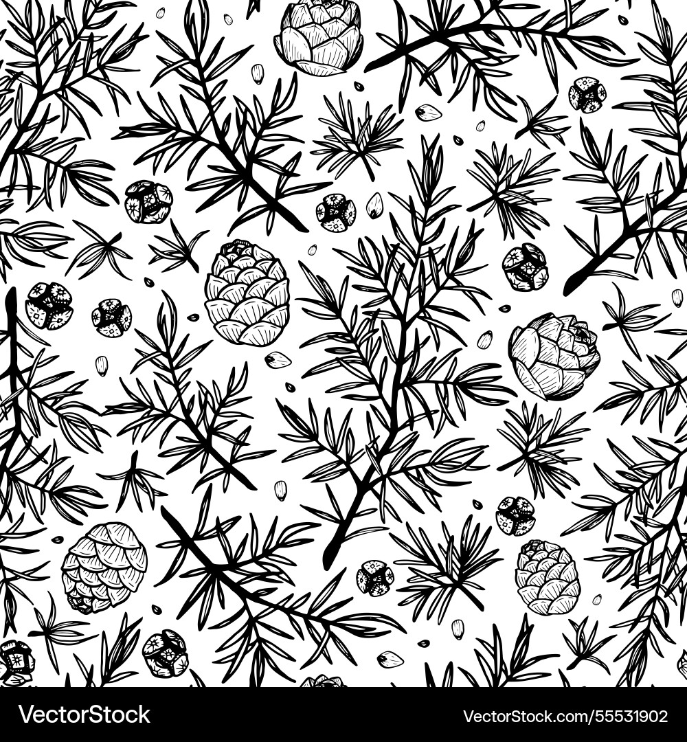 Pine branches seamless pattern Pine branches seamless pattern vector image