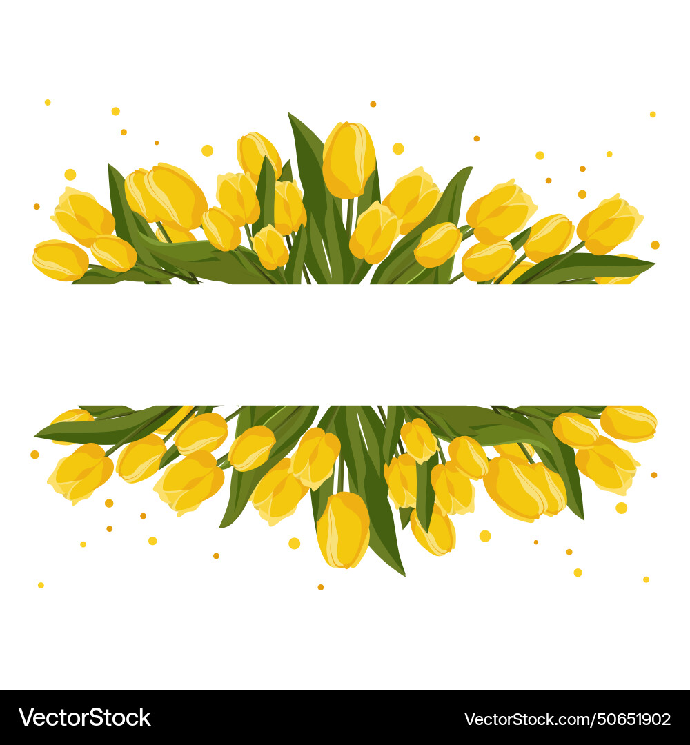 Spring rectangular frame with yellow tulip Vector Image