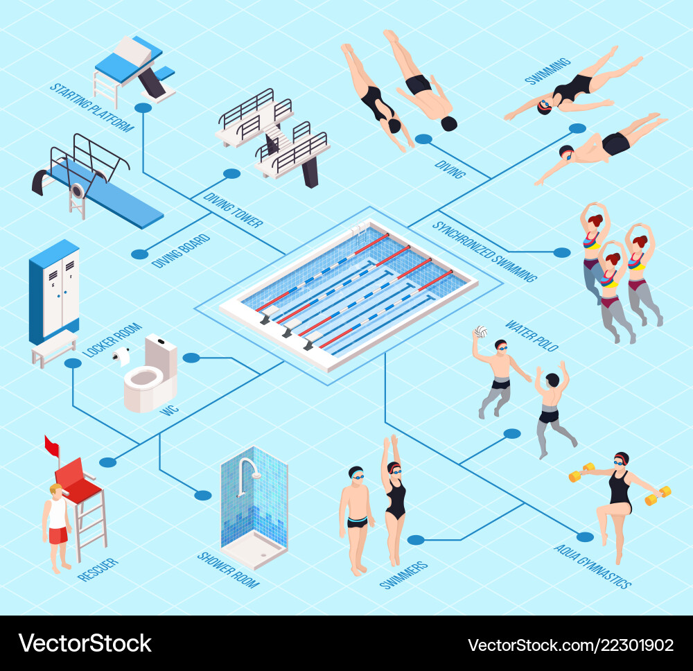 Swimming pool isometric flowchart Swimming pool isometric flowchart vector image