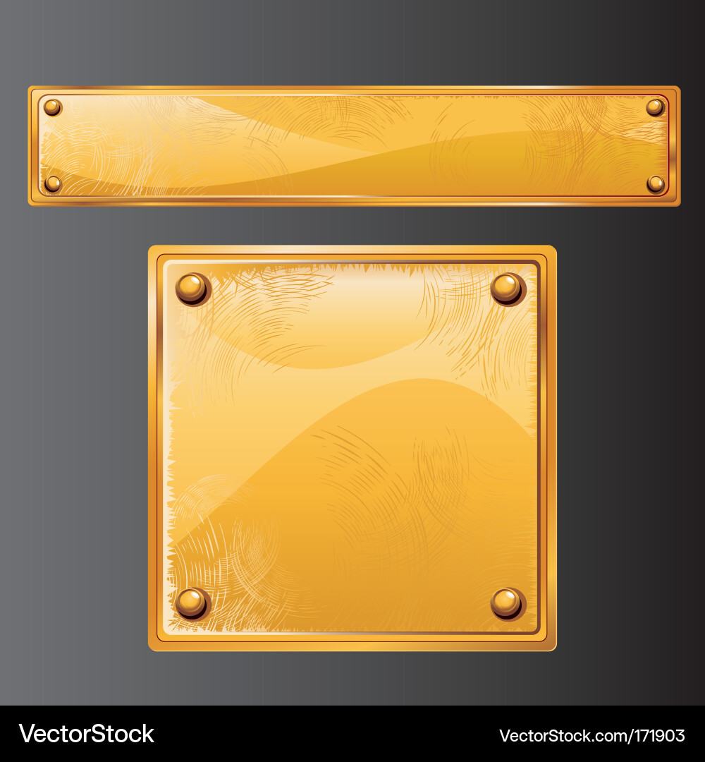 Golden Plate with Texture Vector Image