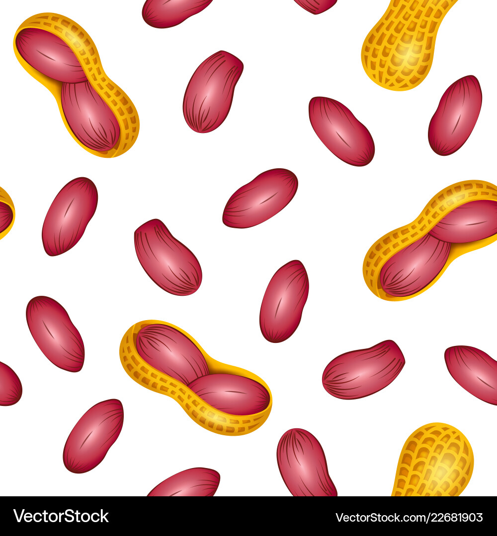Peanut Pattern - Close-Up Texture vector image