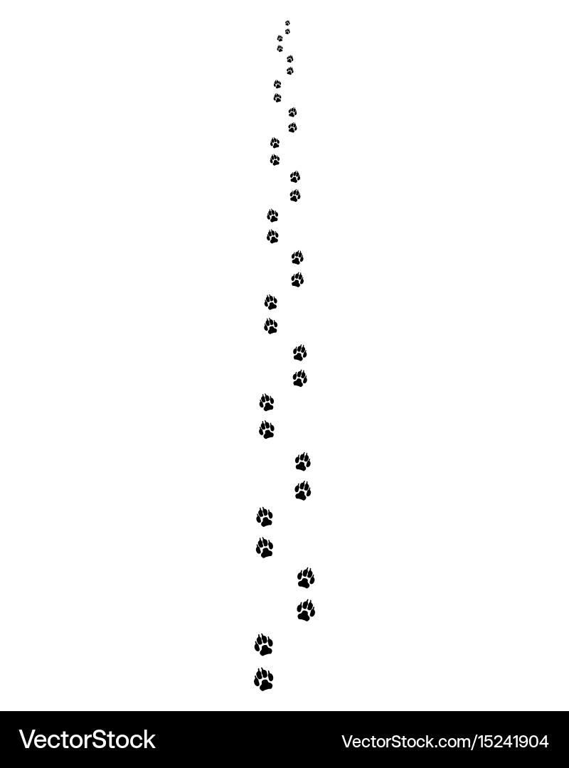 Dog Paw Print Trail Vector Image