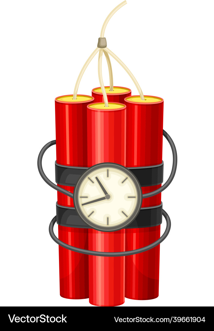 Dynamite bomb with clock timer vector image