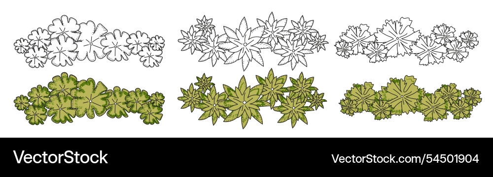 Group trees top view set architecture Vector Image