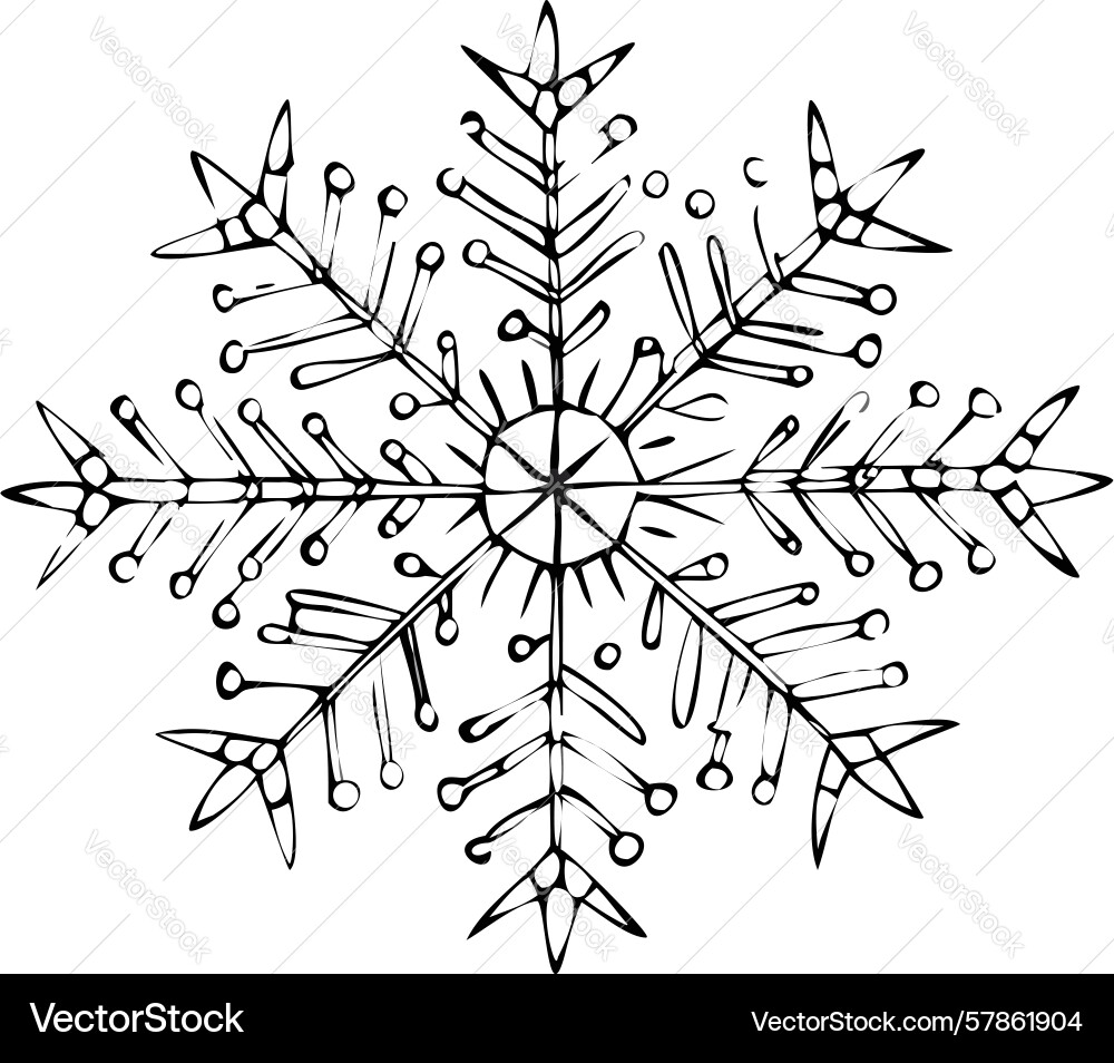 Intricate snowflake symbolizing winters delicate Vector Image