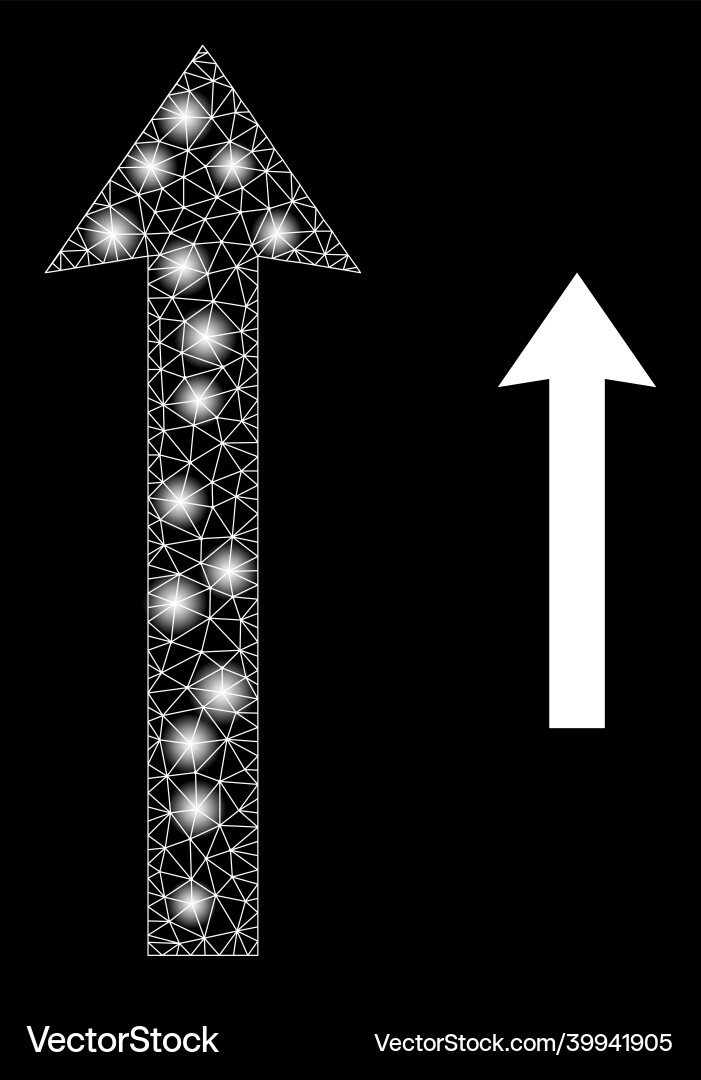 Polygonal network mesh send up with glare spots Polygonal network mesh send up with glare spots vector image