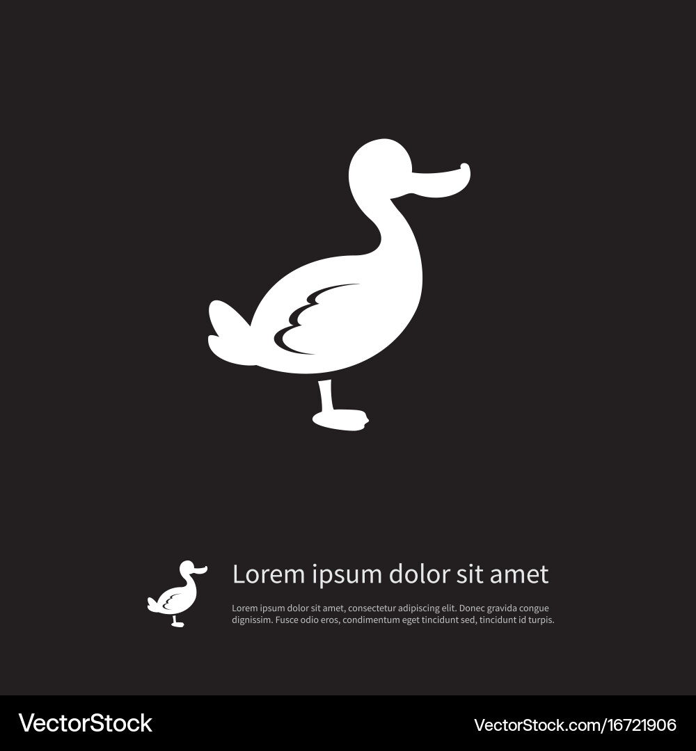 Isolated duck icon canard element can Vector Image