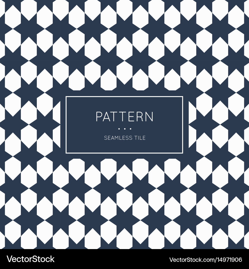 Modern Geometric Pattern vector image