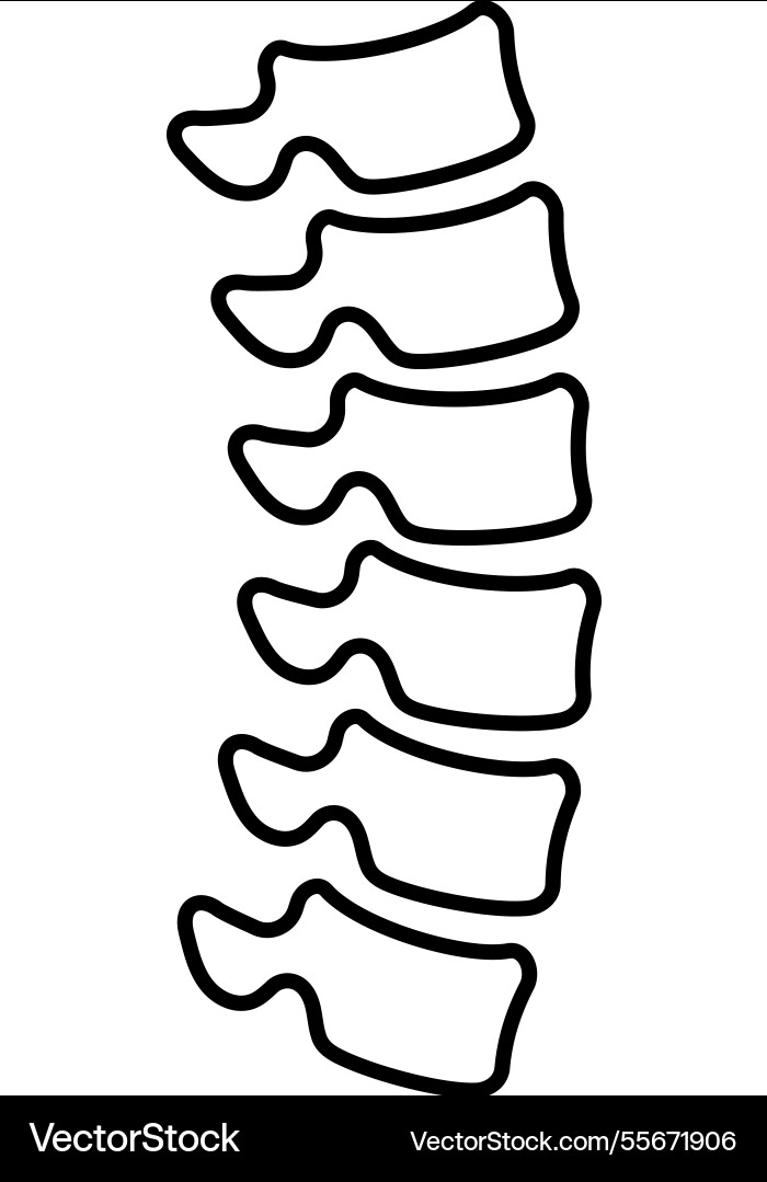 Spine bones icon in linear style Spine bones icon in linear style vector image