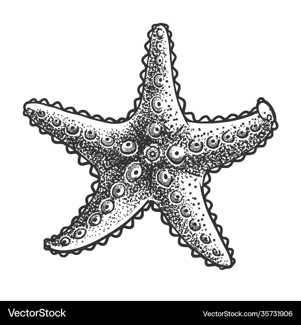 black white starfish