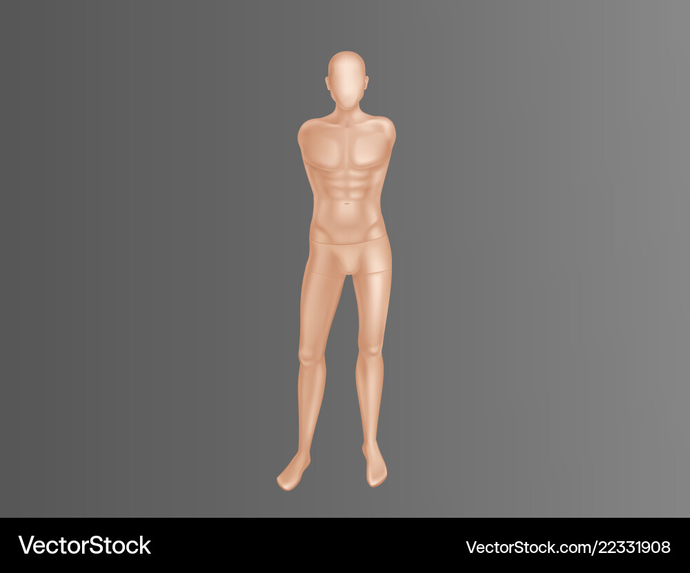 Mannequin Manikin für Bekleidungsgeschäft Mannequin Manikin für Bekleidungsgeschäft vektorbild