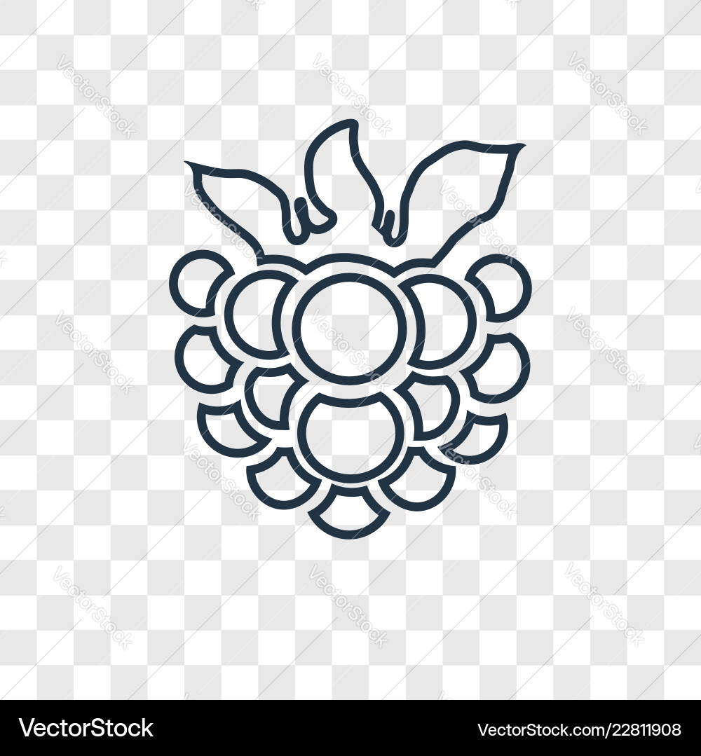 Raspberry concept linear icon isolated Raspberry concept linear icon isolated vector image