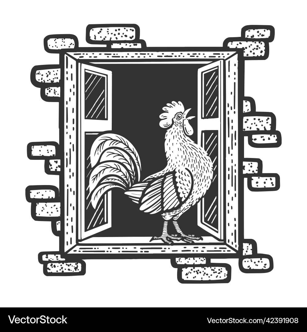 Rooster Krähen singt im Hausfenster Skizze Rooster Krähen singt im Hausfenster Skizze vektorbild