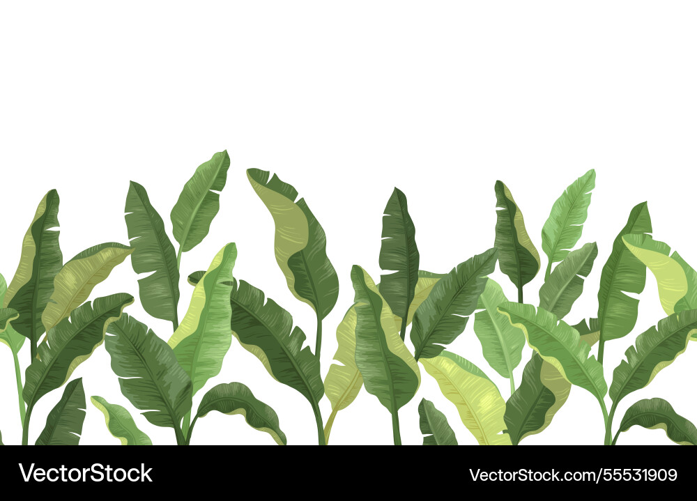 Green bananas seamless from right to left pattern Green bananas seamless from right to left pattern vector image