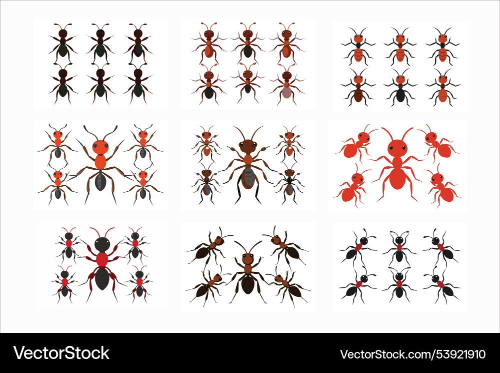 Ant bundle color design Vector Image