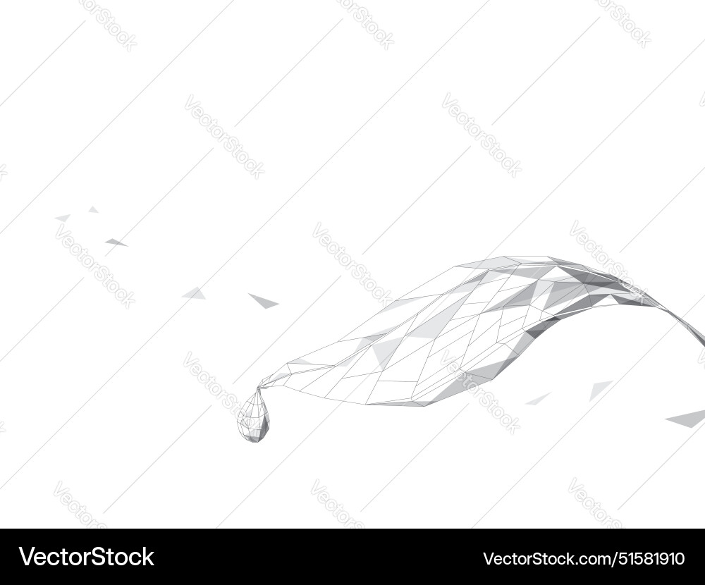 Fragment a004 leaf with water drop Vector Image