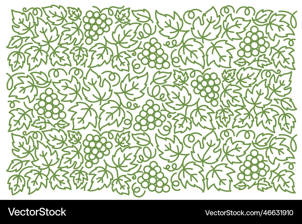 Grapevine floral pattern grape branches Vector Image