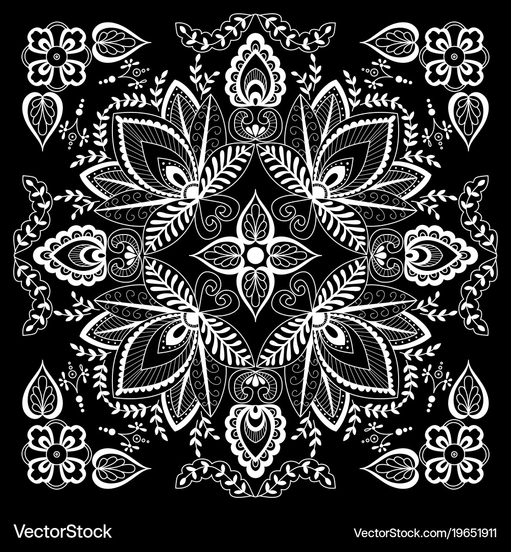 Black and white abstract bandana print vector image