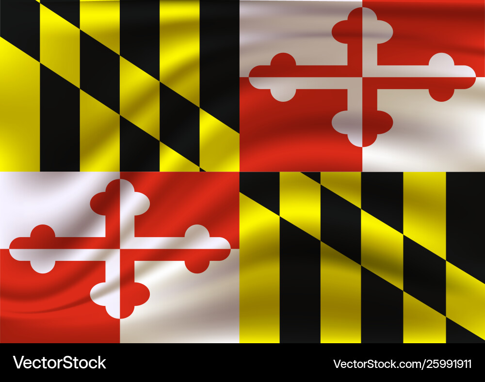 Maryland Flag Waving vector image