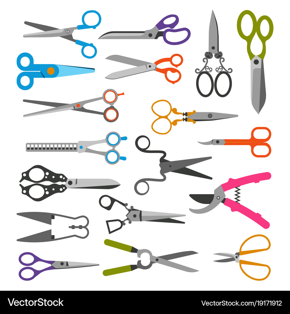 Scissor set professional pair of scissors Vector Image