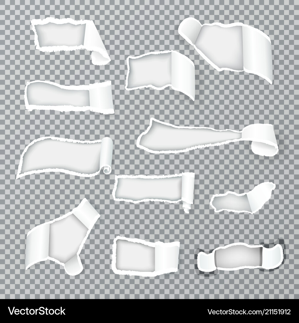Torn Paper Curls - Realistic Vector Image
